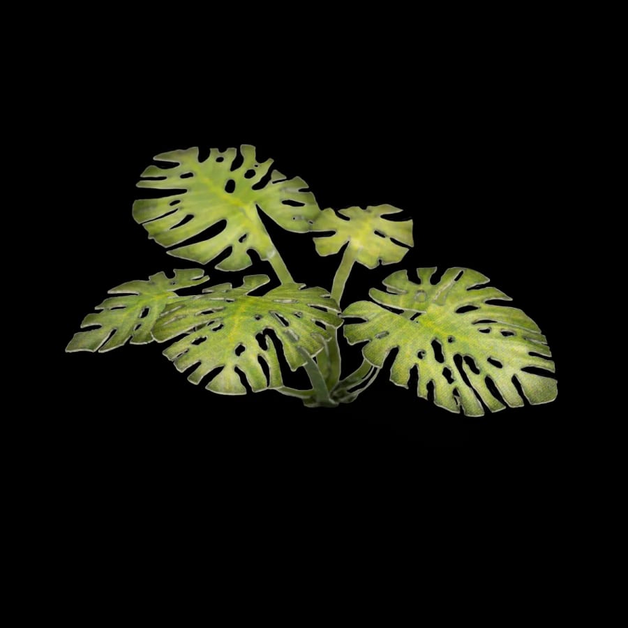 WarForge - Monstera - Warhammer