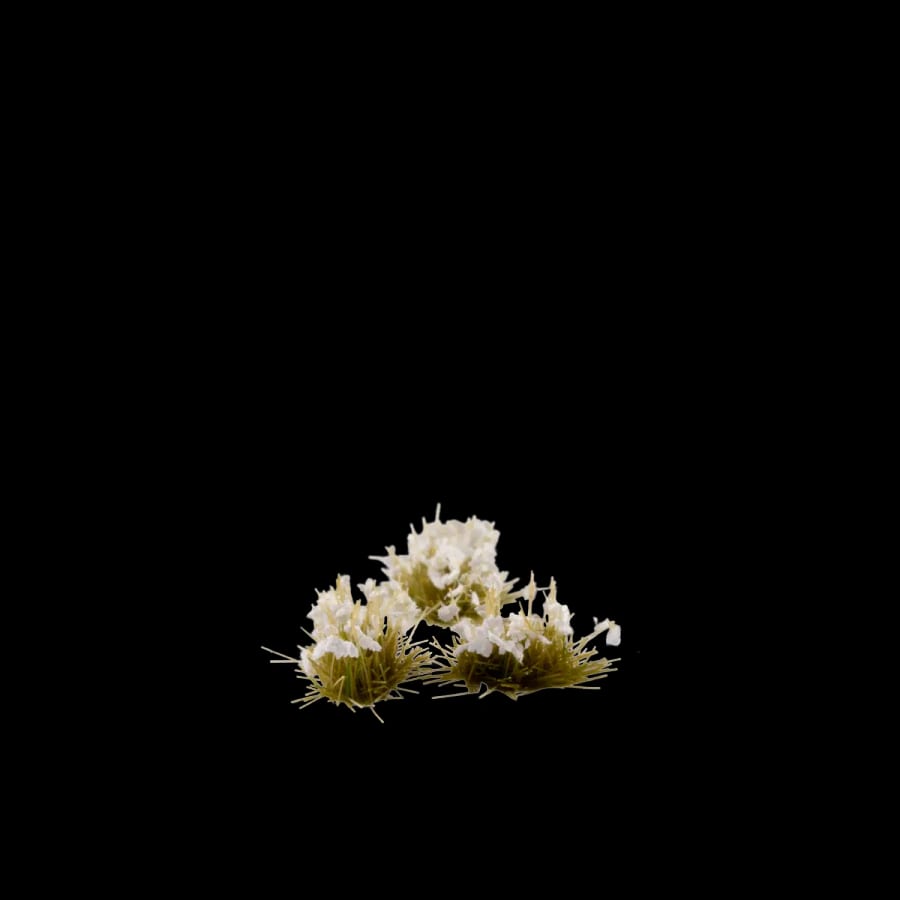WarForge - White Lily Tiny Flowers - Warhammer