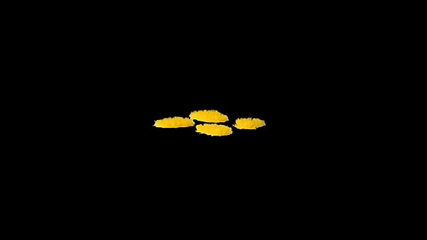 WarForge - Tiny Golden 1mm - Warhammer