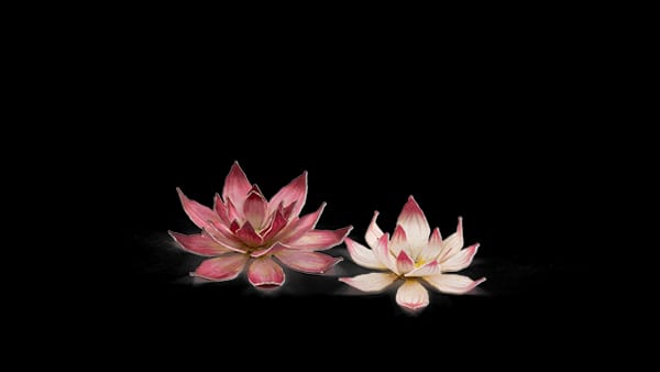WarForge - Lotus Flower - Warhammer
