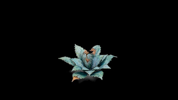 WarForge - Blue Agave - Warhammer