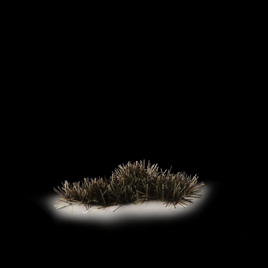 WarForge - Burned (2mm) - Warhammer