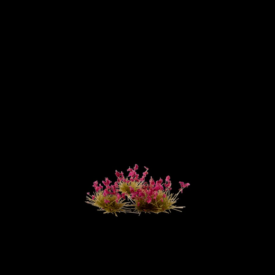 WarForge - Garnet Tulip Tiny Flowers - Warhammer
