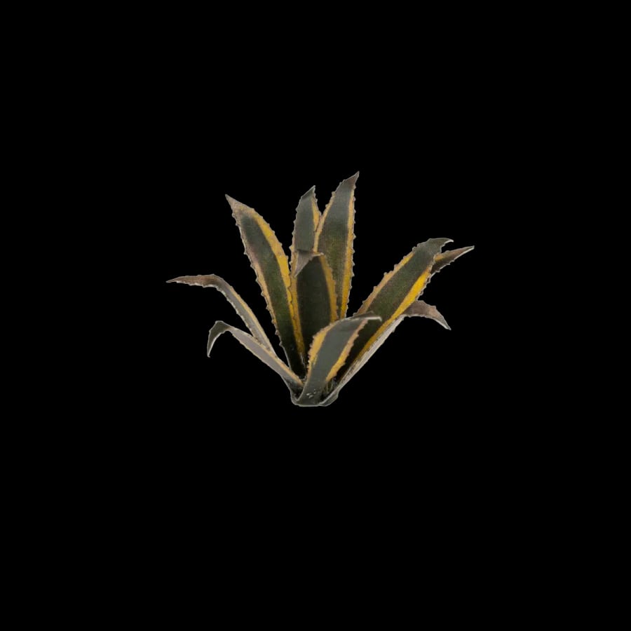 WarForge - Agave - Warhammer