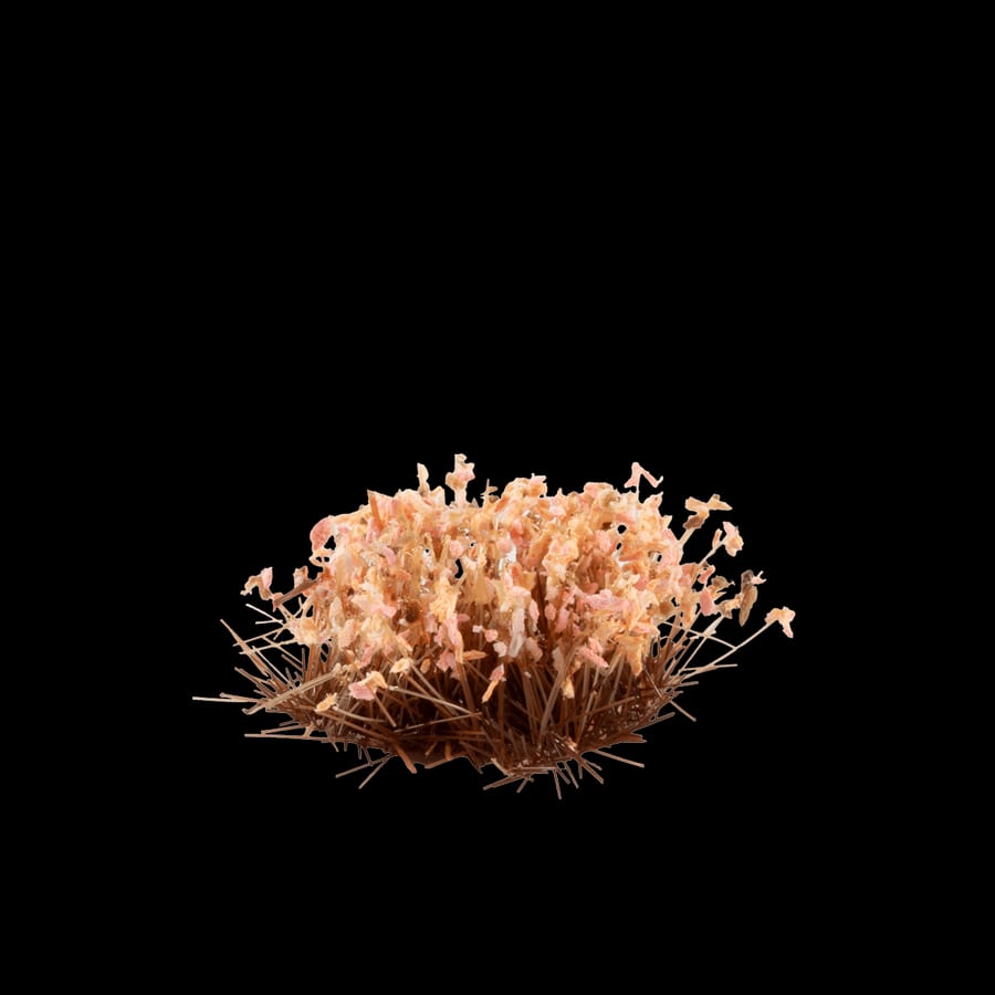 WarForge - Autumn Shrubs - Warhammer