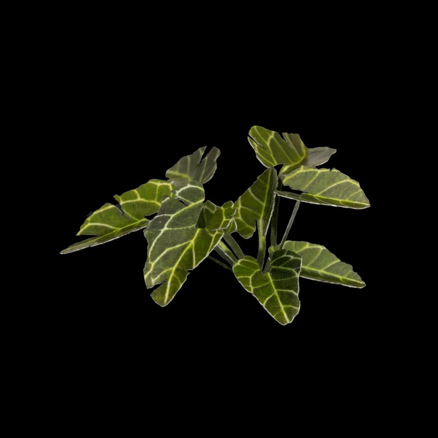WarForge - Elephant Ear - Warhammer