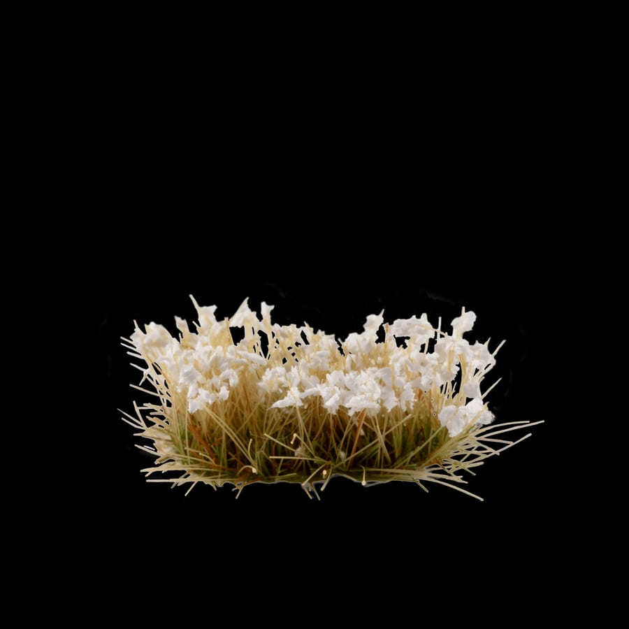 WarForge - White Rose Flowers - Warhammer