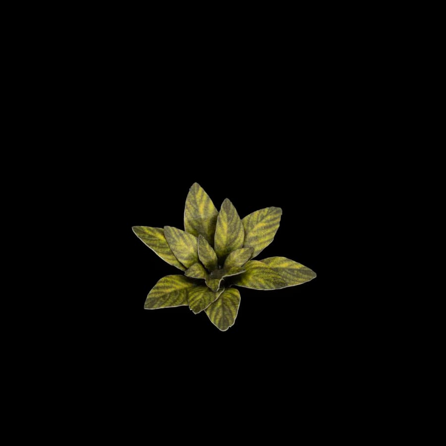 WarForge - Dumb Cane - Warhammer