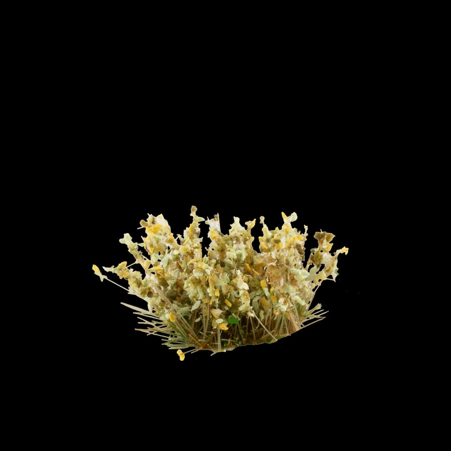 WarForge - Light Green Shrubs - Warhammer