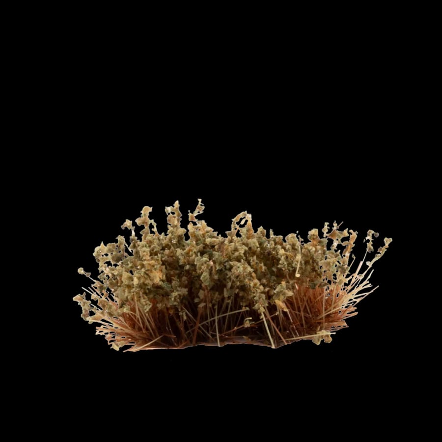 WarForge - Swamp Shrubs - Warhammer