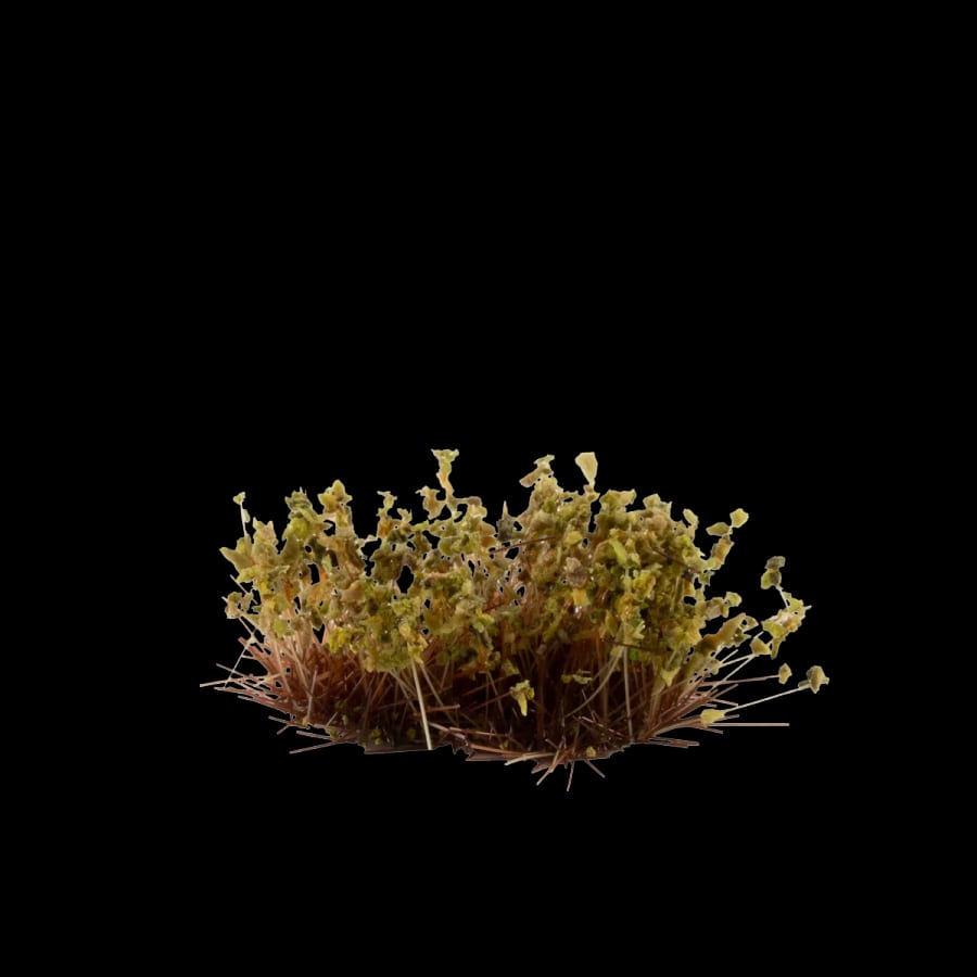 WarForge - Dry Green Shrubs - Warhammer