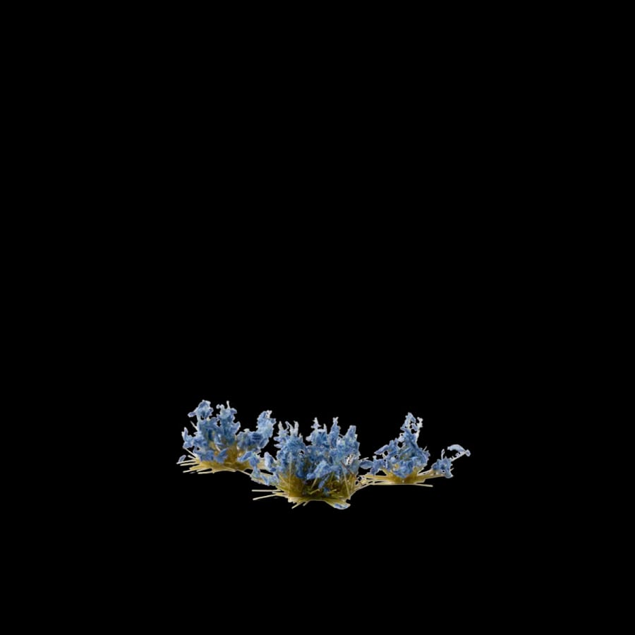 WarForge - Cornflower Tiny Flowers - Warhammer