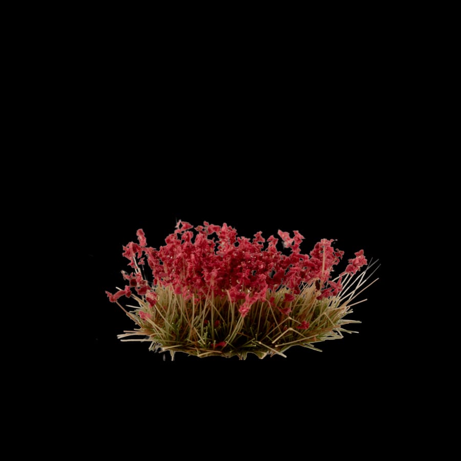 WarForge - Laliguras Flowers - Warhammer