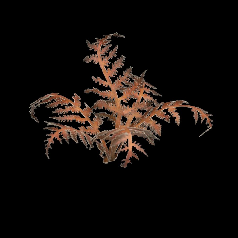 WarForge - Dry Bracken - Warhammer