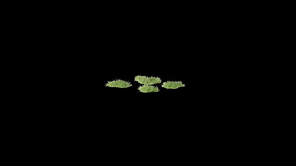 WarForge - Tiny Green 1mm - Warhammer