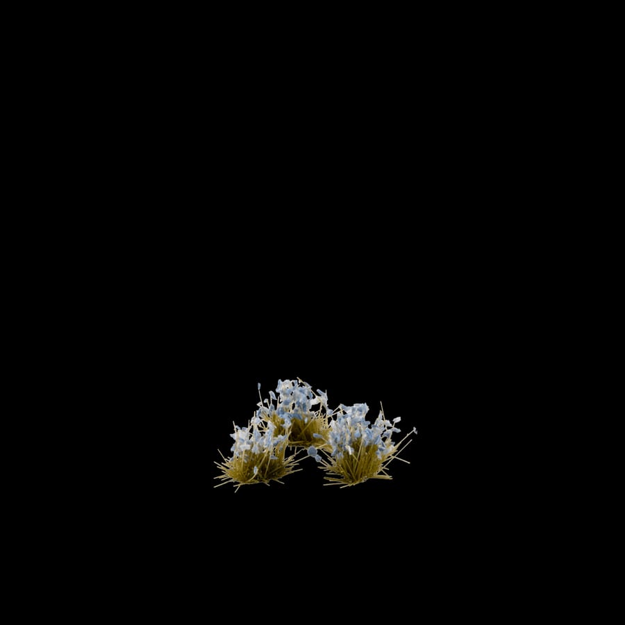 WarForge - Forget-Me-Not Tiny Flowers - Warhammer