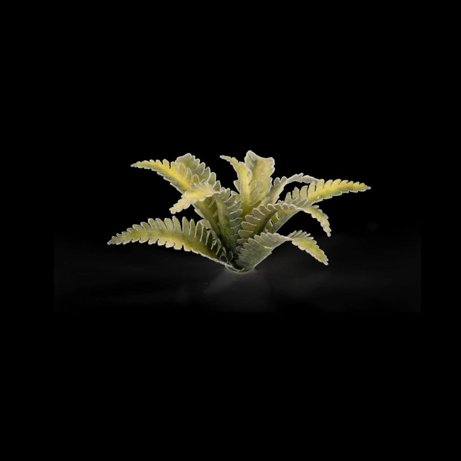 WarForge - Deer Fern - Warhammer