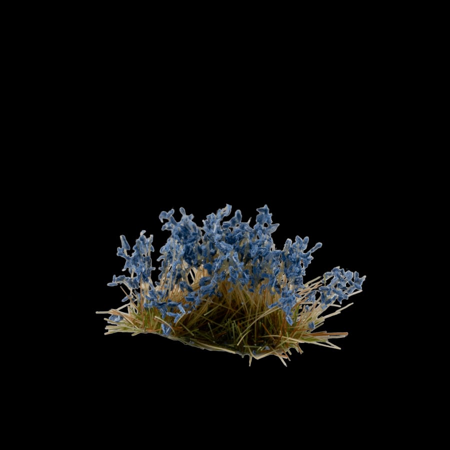 WarForge - Bluebeard Flowers - Warhammer