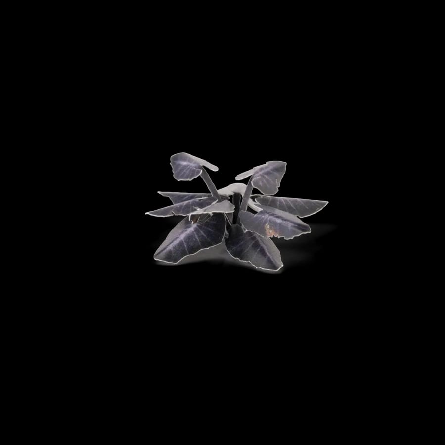 WarForge - Black Magic Taro - Warhammer