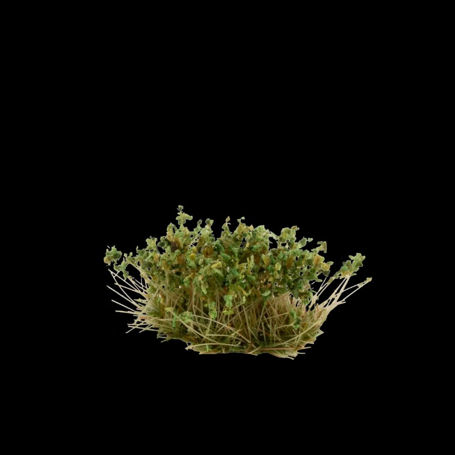 WarForge - Strong Green Shrubs - Warhammer